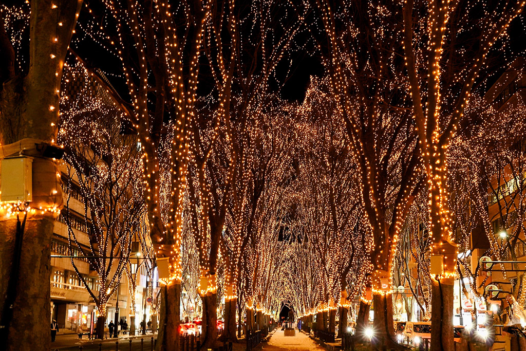 仙台　光のページェント輝くケヤキ並木