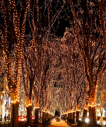 仙台　光のページェント煌めくケヤキ並木